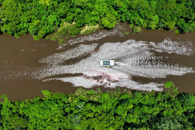 cruise-tour-through-the-bolivian-amazon-in-trinidad-beni