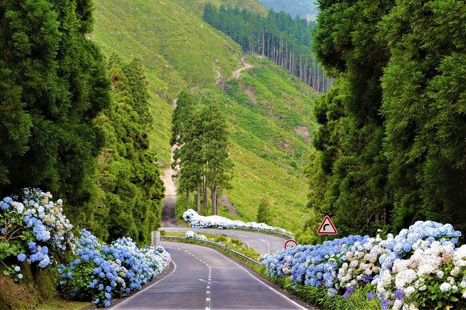 cruise-travellers-sete-cidades-volcano-the-blue-green-lake