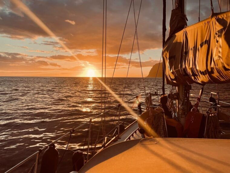 cruise-trips