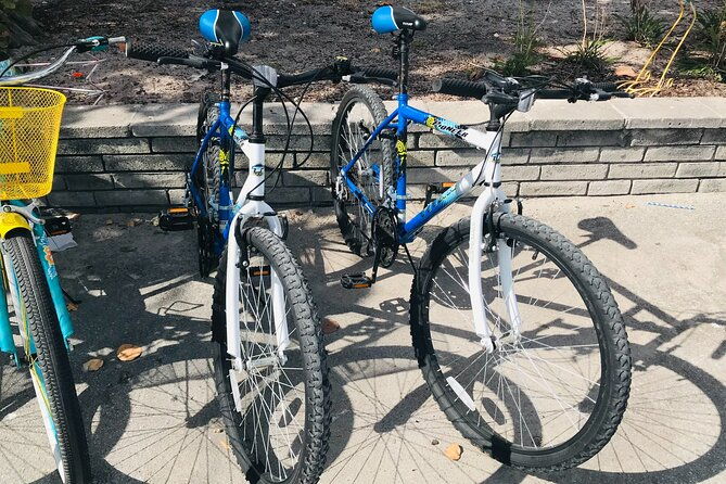cruiser-bike-rental-at-crandon-park