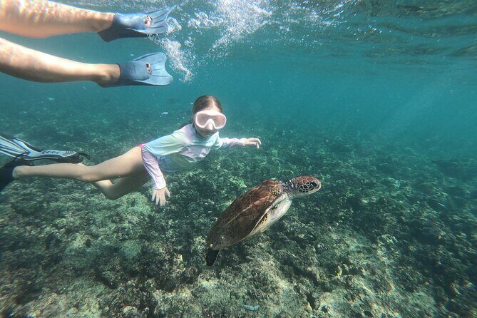 Cruises to Daymaniyat & Snorkeling - Final Thoughts: Who Will Love This Tour?