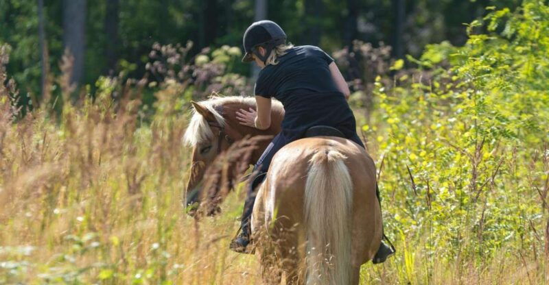 cruseilles-horseback-riding-in-the-countryside