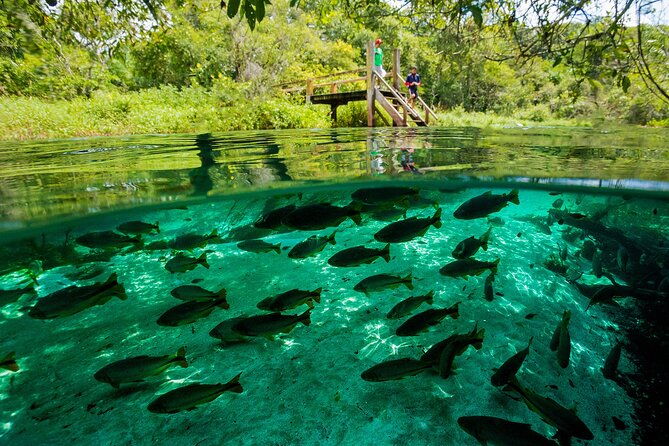 crystal-clear-adventure-floating-through-the-sucuri-river