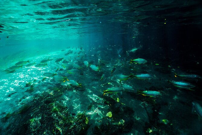 crystal-clear-adventure-floating-through-the-sucuri-river