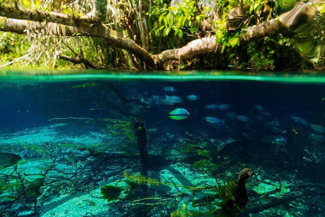 crystal-clear-adventure-floating-through-the-sucuri-river