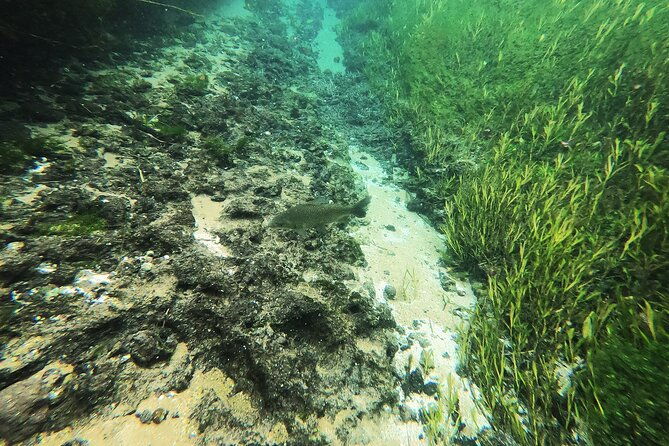 crystal-clear-adventure-floating-through-the-sucuri-river