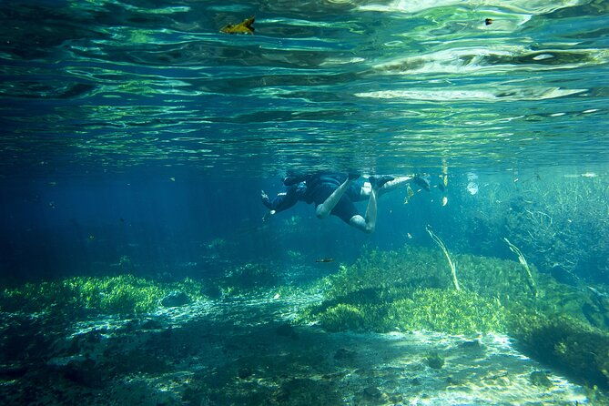 crystal-clear-adventure-floating-through-the-sucuri-river