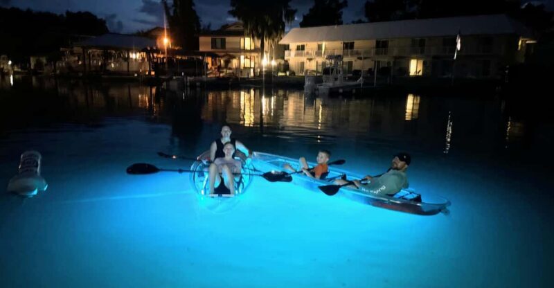 Crystal River Clear Kayak Sunset & Night Glow Tour - What to Expect from the Crystal River Sunset & Night Glow Tour