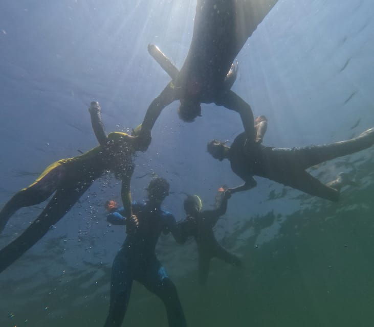 crystal-river-guided-manatee-snorkeling-tour