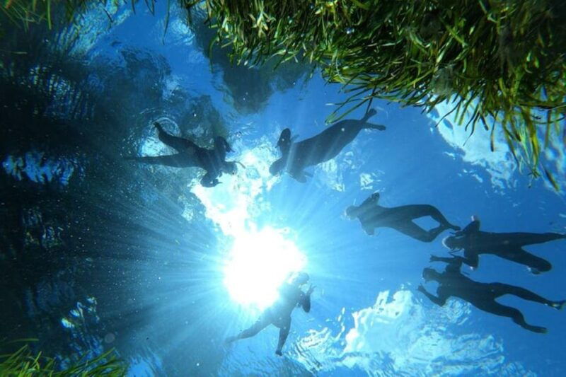 crystal-river-manatee-snorkel-with-in-water-guide