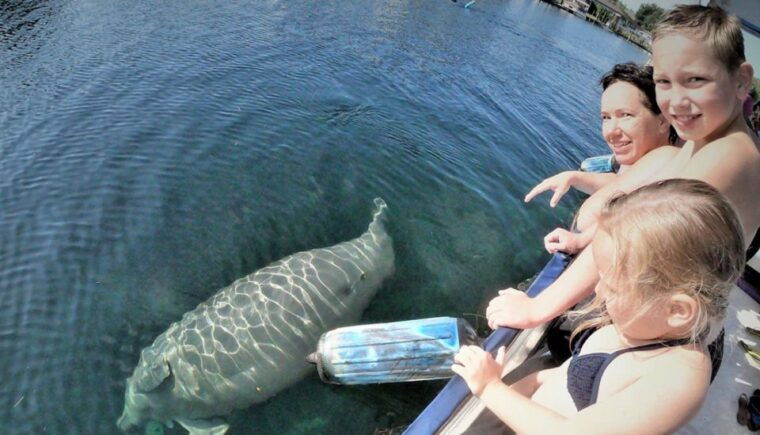 crystal-river-manatee-viewing-cruise-2