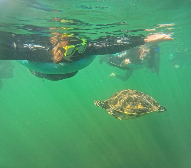 crystal-river-springs-snorkeling-tour