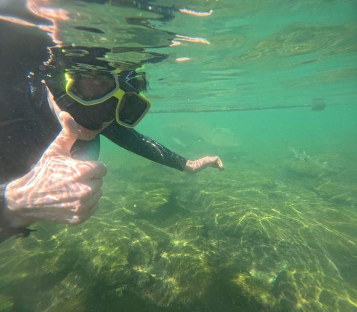 crystal-river-springs-snorkeling-tour