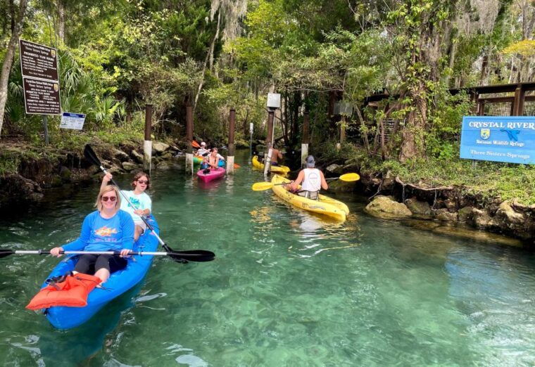 crystal-river-three-sisters-springs-guided-kayak-tour