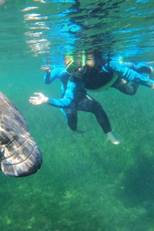 Crystal River: VIP Kayak and Swim with Manatees Tour - Experience Breakdown: What to Expect