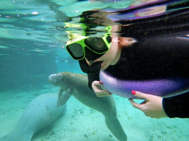 crystal-river-vip-manatee-swim-w-in-water-photographer