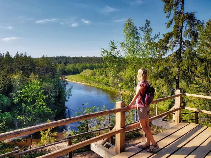 Csis, Lgatne & Sigulda Tour: Must-see Highlights - Authentic Experiences and What Travelers Love