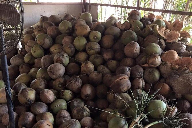 Cu Chi And Mekong Full Day Trip - FAQs