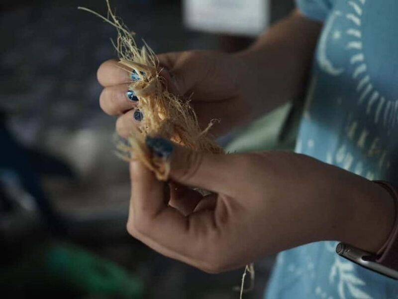 Cu Chi Tunnels And Mekong Delta Tour - The Sum Up