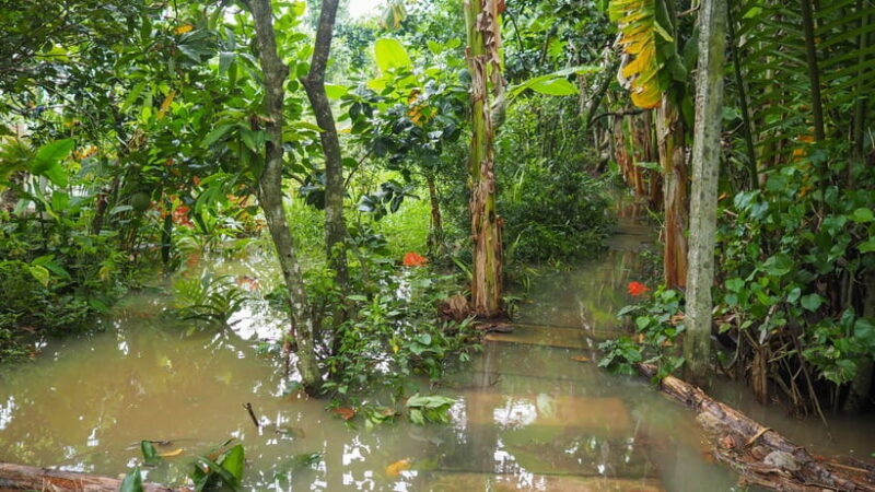 Cu Chi Tunnels & Mekong Delta Small Group Tour Full Day - Practical Details and Value