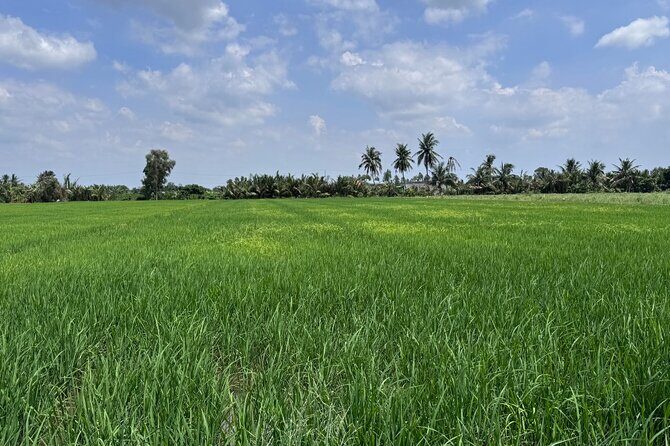 Cu Chi Tunnels & Mekong Eco Tour: Non-Touristy and Small Group - Key Points