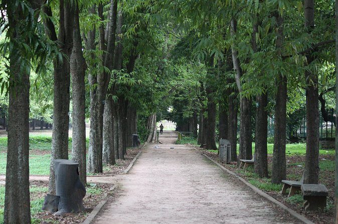 Cubbon Park Heritage Walk: A self-guided tour of Bangalore's unique history - Why This Tour Is a Great Choice