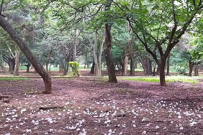 Cubbon Park Heritage Walk: A self-guided tour of Bangalore's unique history - Who Should Consider This Tour?