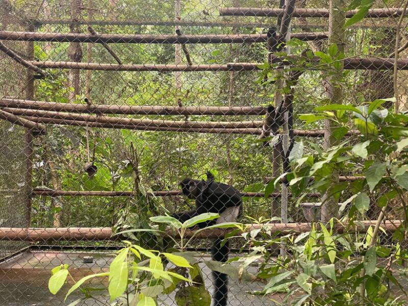 Cuc Phuong Day Trip From Hanoi - Frequently Asked Questions