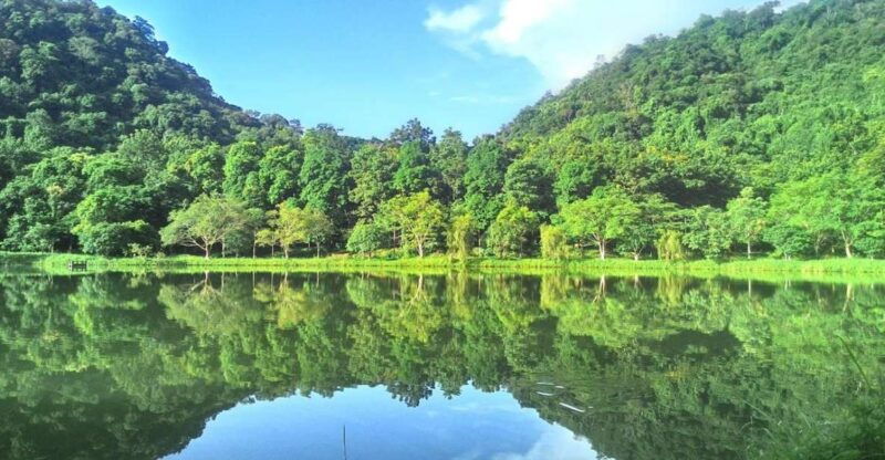 cuc-phuong-forest-the-forest-of-thousands-of-butterflies
