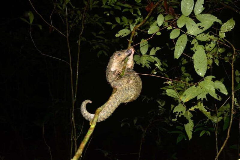 cuc-phuong-national-park-2-day-private-tour-female-guide