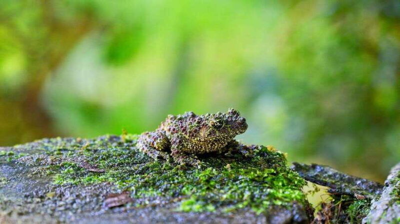 cuc-phuong-national-park-2-day-private-tour-female-guide
