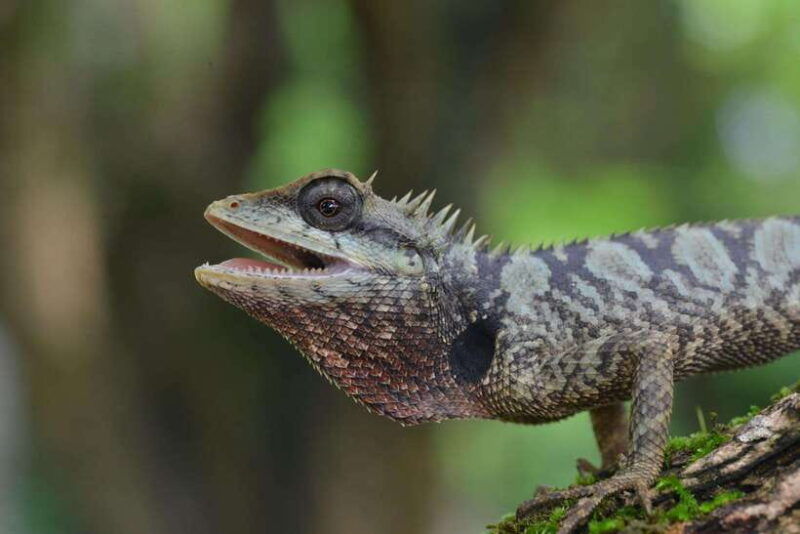 cuc-phuong-national-park-2-day-private-tour-female-guide