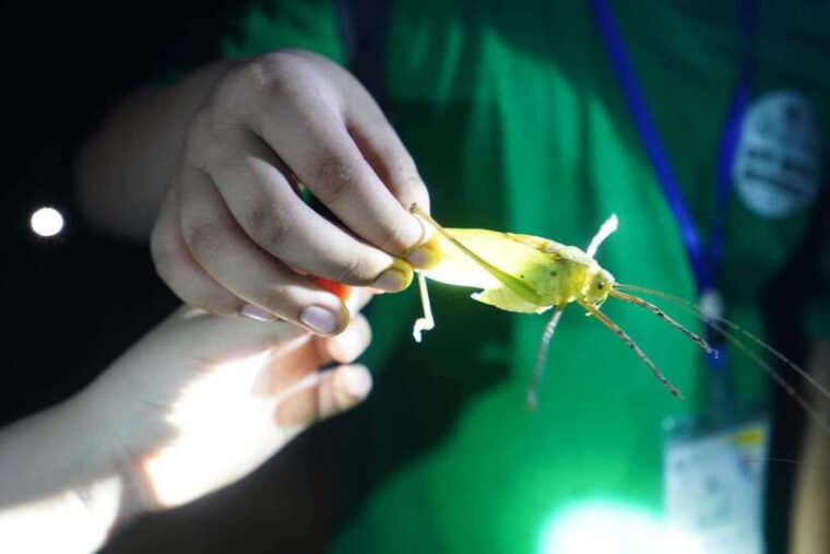 cuc-phuong-national-park-2-day-private-tour-female-guide