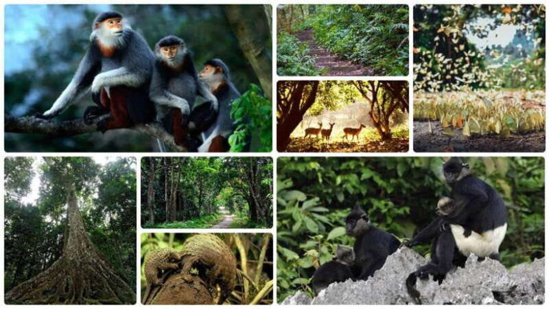 Cuc Phuong National Park Adventure: Nature Tour in 1 day - An In-Depth Look at the Experience