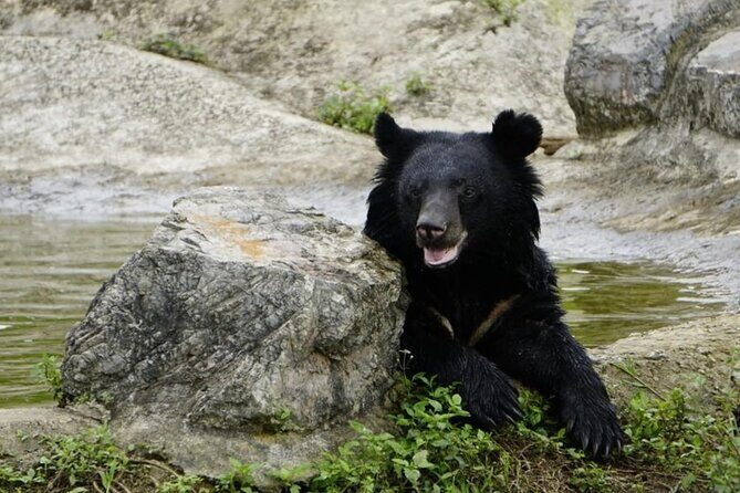 Cuc Phuong National Park and Bear Sanctuary Full Day Tour - An In-Depth Look at the Tour Experience