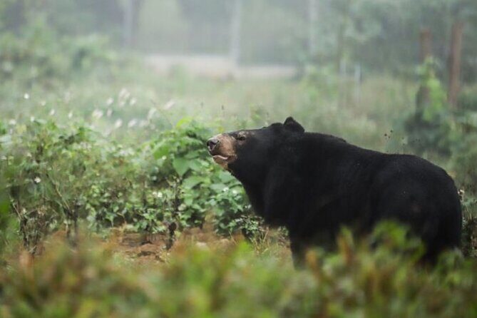 Cuc Phuong National Park and Bear Sanctuary Full Day Tour - FAQ
