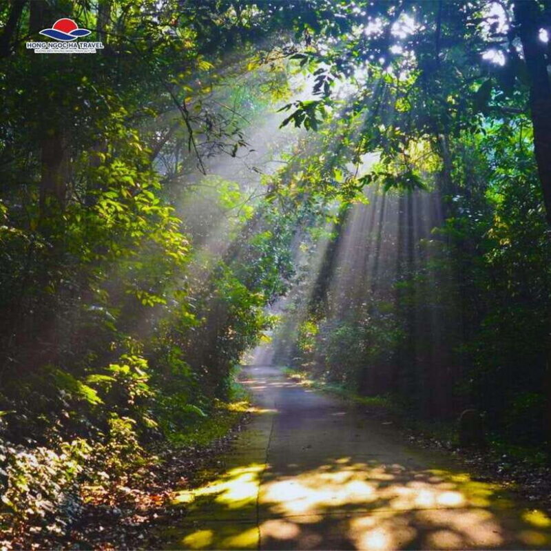 Cuc Phuong National Park And Van Long Wetlands 2 Days Tour - FAQ