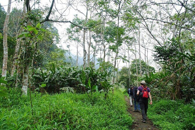 Cuc Phuong National Park Group Day Tour - In-Depth Review of the Cuc Phuong National Park Group Day Tour
