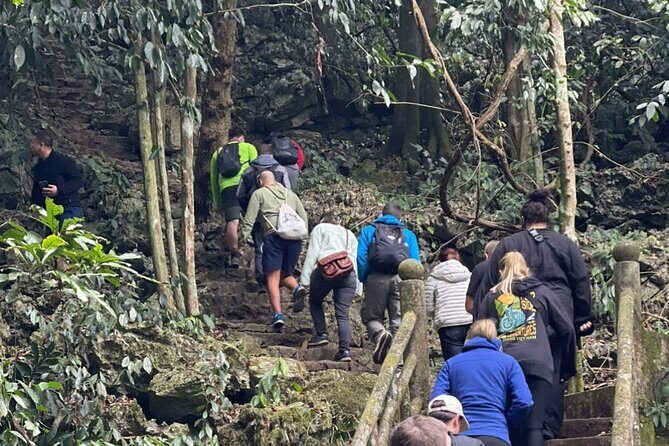 CUC Phuong National Park One Day Small Group - The Sum Up: Is This Tour Right for You?