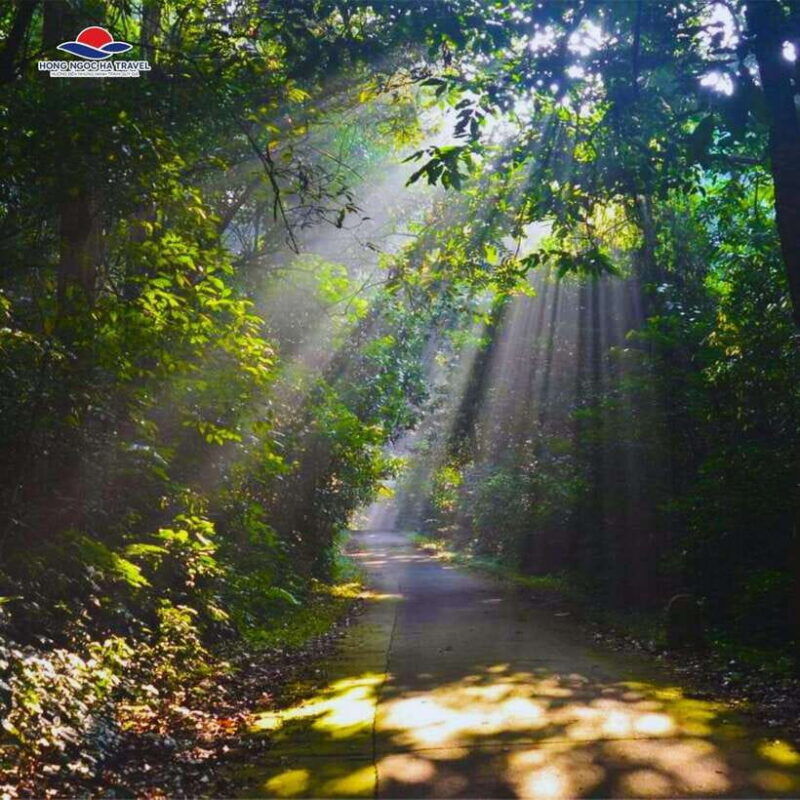 cuc-phuong-national-park-private-tour-from-hanoi-old-quarter