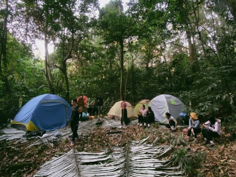 cuc-phuong-national-park-trek-camp-in-jungle-2-days