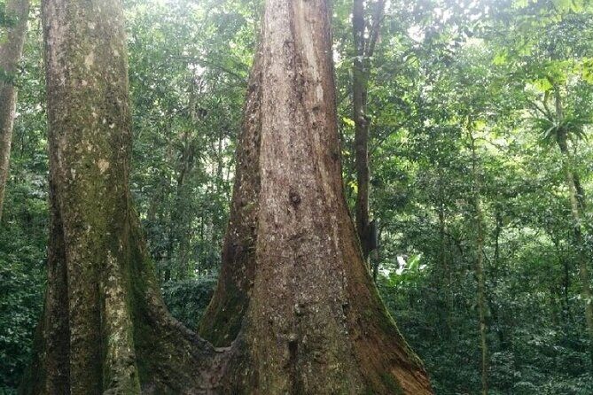 Cuc Phuong National Park Trekking: Private Day Tour From Hanoi - What Reviewers Have Said