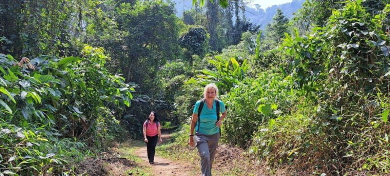 Cuc Phuong National Park - Van Long Day Trip From Hanoi - Key Points