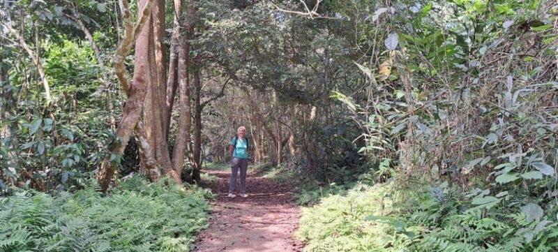 Cuc Phuong National Park - Van Long Day Trip From Hanoi - The Day in Detail: A Deep Dive Into the Itinerary