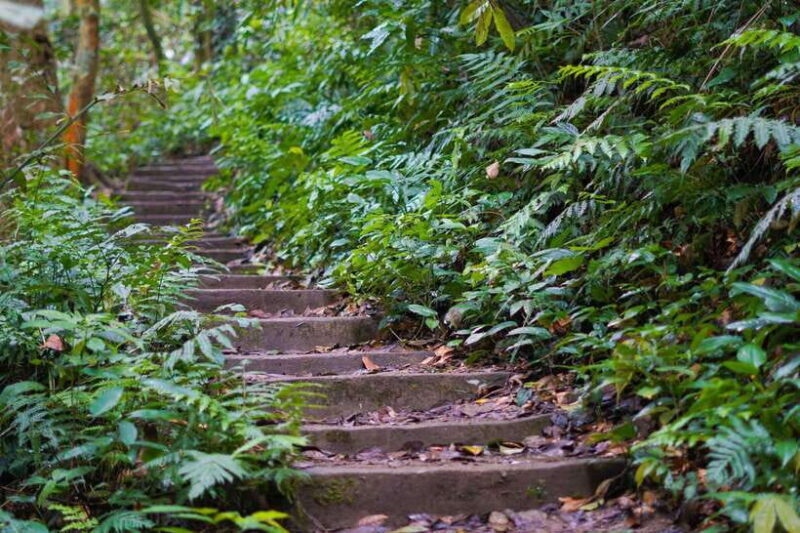 Cuc Phuong National Park - Van Long Day Trip From Hanoi - FAQ