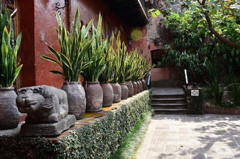 cuernavaca-robert-brady-museum-entrance-tickets