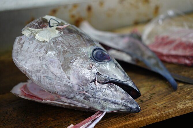 Cuisine of Nachikatsuura and Kumano - What’s Included and What’s Not