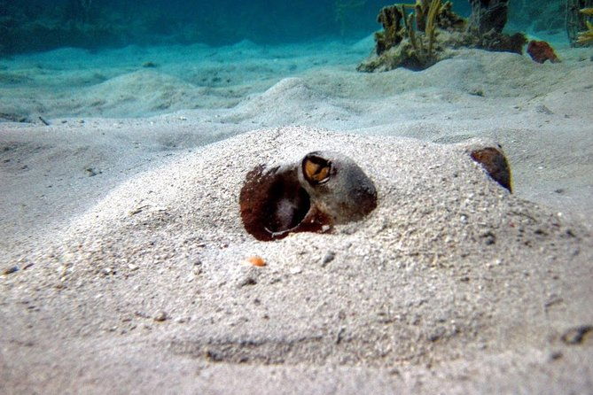 culebra-island-snorkel-and-turtle-adventure-with-ferry-transport