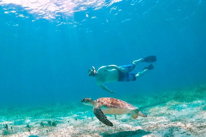 culebra-island-snorkel-and-turtle-adventure-with-ferry-transport