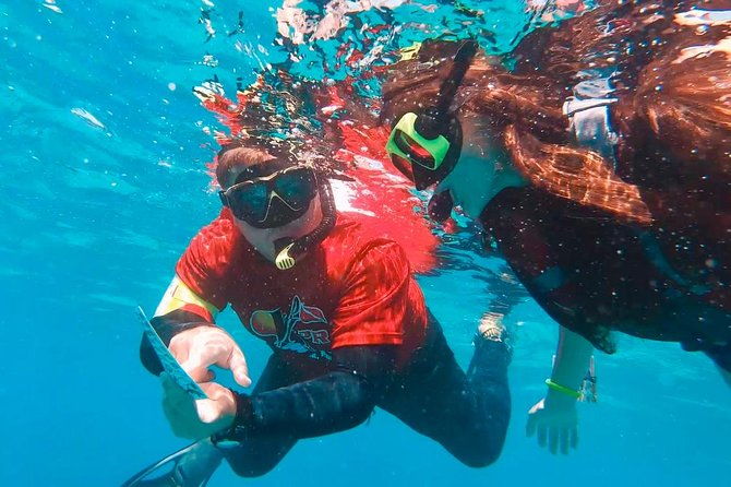 culebra-island-snorkel-and-turtle-adventure-with-ferry-transport
